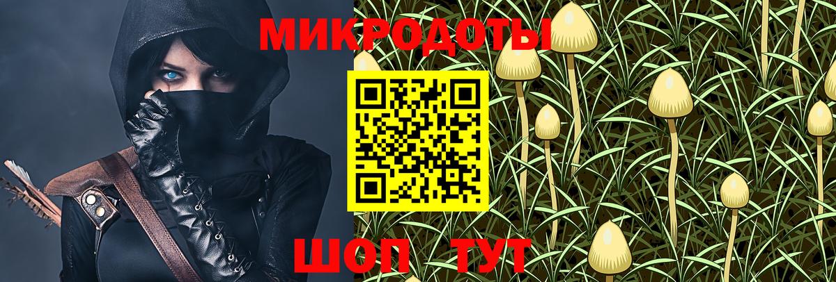 Галлюциногенные грибы Magic Shrooms Знаменск